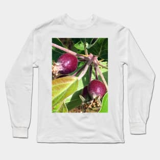 Budding Fruit Long Sleeve T-Shirt